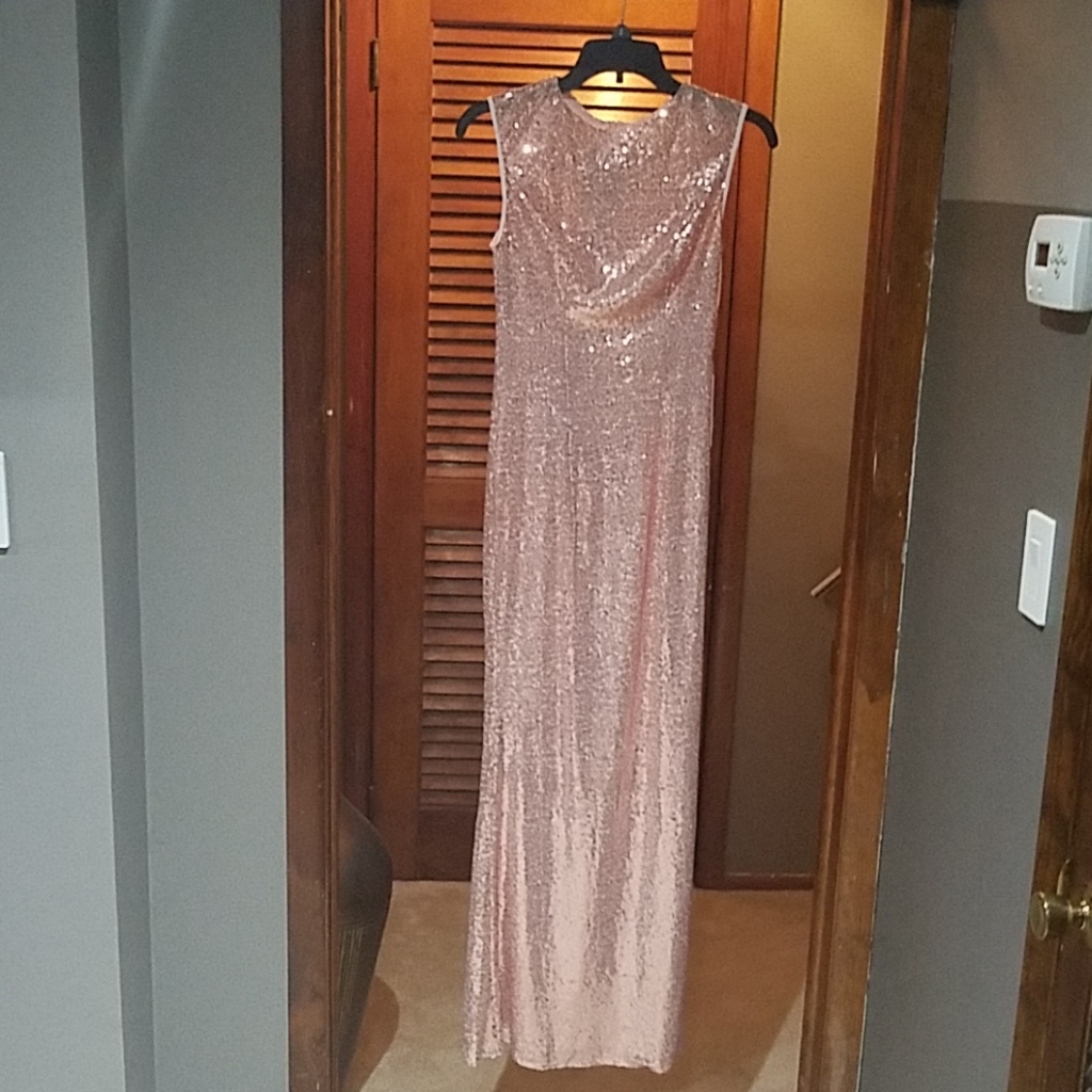 Sequin Dress